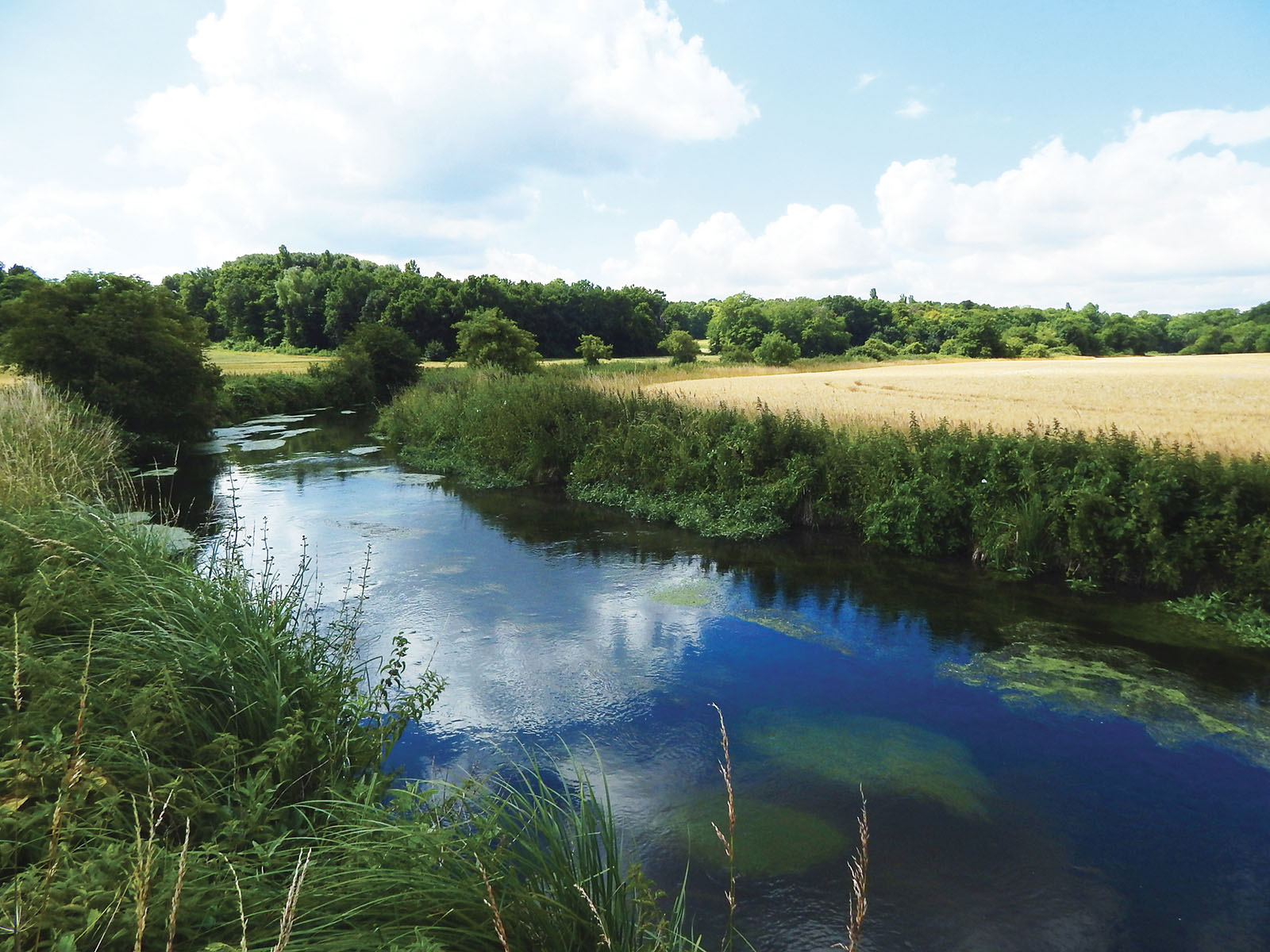 Le Syndicat mixte des bassins versants de la rivière École, du ru de la Mare-aux-Évées et de leurs Affluents (SEMEA) a pour missions la préservation de la qualité et la disponibilité de la ressource en eau ainsi que la maîtrise des risques inondations.