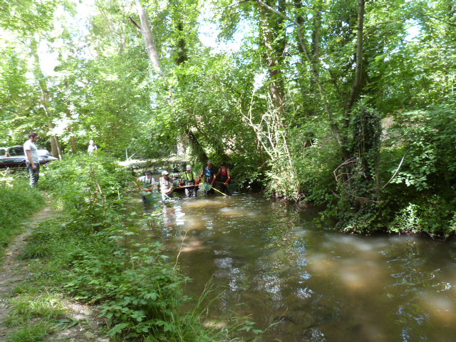 Évaluation de la qualité physique et biologique des milieux suite à la restauration de la rivière École dans le parc de Pringy