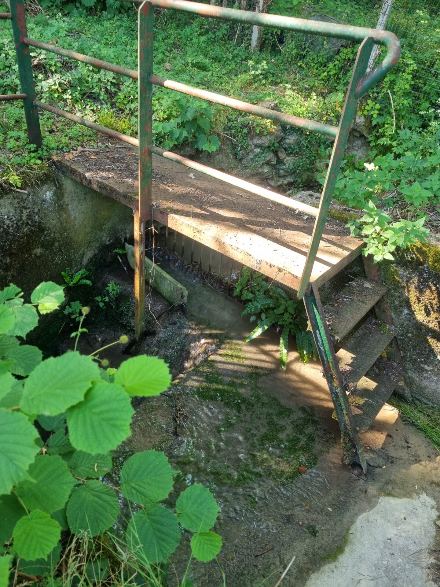 Intervention de nettoyage du décanteur de la rue des Vives Eaux à Boissise-le-Roi pour prévenir la pollution et l’inondation