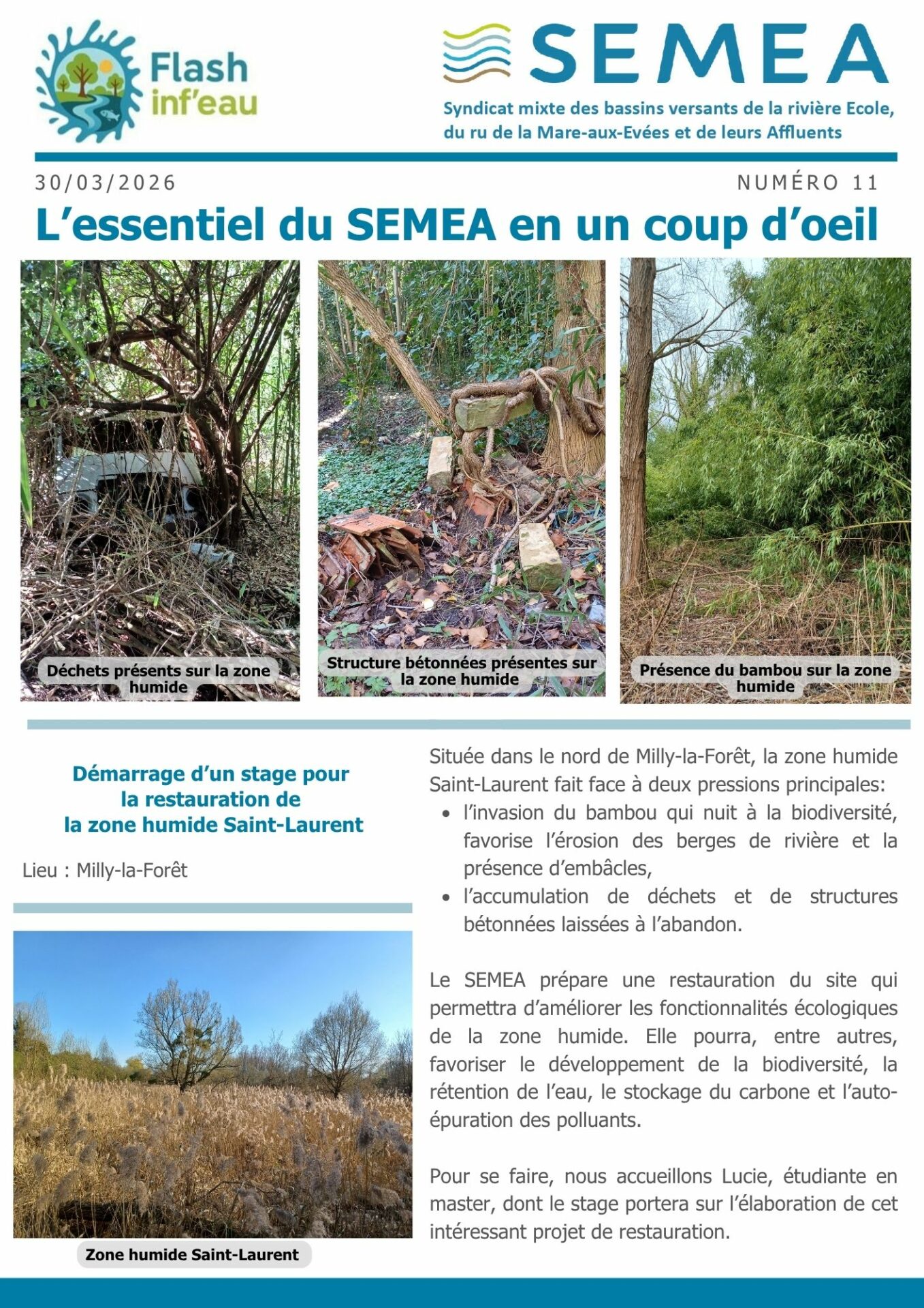 11.Flash inf’eau_l’essentiel en un coup d’oeil _Numéro 11- Démarrage d’un stage pour la restauration de la zone humide Saint-Laurent